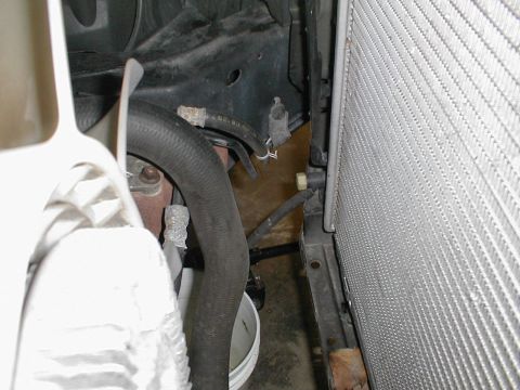 1997 Ford Crown Victoria - Close-up view of the radiator and a black hose in the engine bay, likely during maintenance or repair.