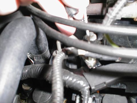 1997 Ford Crown Victoria - Close-up of engine bay components, including hoses and wiring, with a hand visible.
