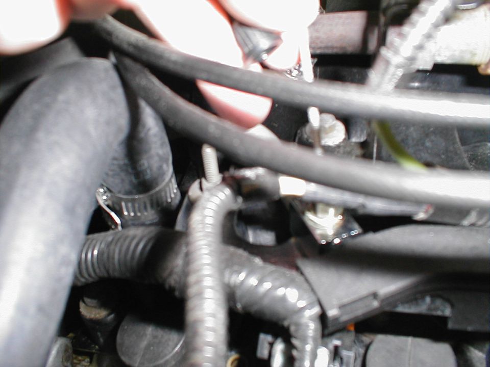 Engine bay hoses and wiring, close-up view. A hand is visible adjusting a hose clamp