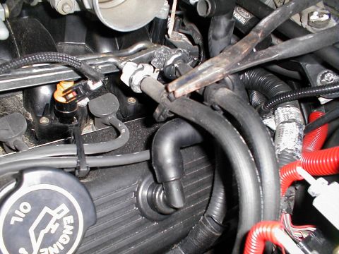 1997 Ford Crown Victoria - A detailed view of engine components, including hoses and electrical connections, with a visible 'Engine Oil' cap.