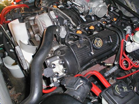 1997 Ford Crown Victoria - Close-up view of an engine bay, showing various components and red-accented hoses.