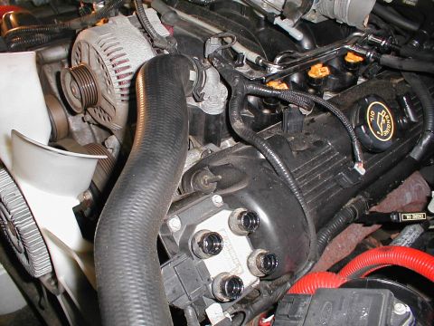 1997 Ford Crown Victoria - Close-up of a 1997 Ford Crown Victoria engine, highlighting the valve cover and alternator.
