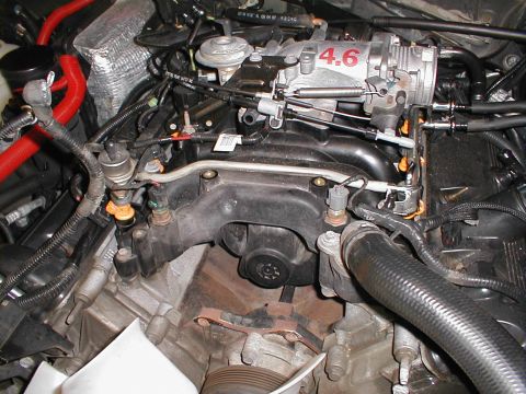 1997 Ford Crown Victoria - The engine bay of a Ford vehicle, focusing on the 4.6L V8 engine components.