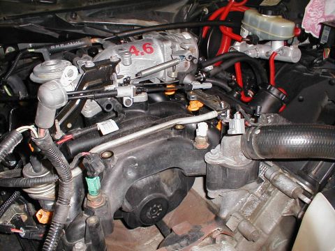 1997 Ford Crown Victoria - Close-up view of a 1997 Ford Crown Victoria's engine bay, highlighting the 4.6L V8 engine components.