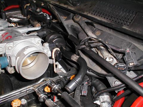 1997 Ford Crown Victoria - Close-up view of engine components, including a throttle body and various hoses, within an engine bay.