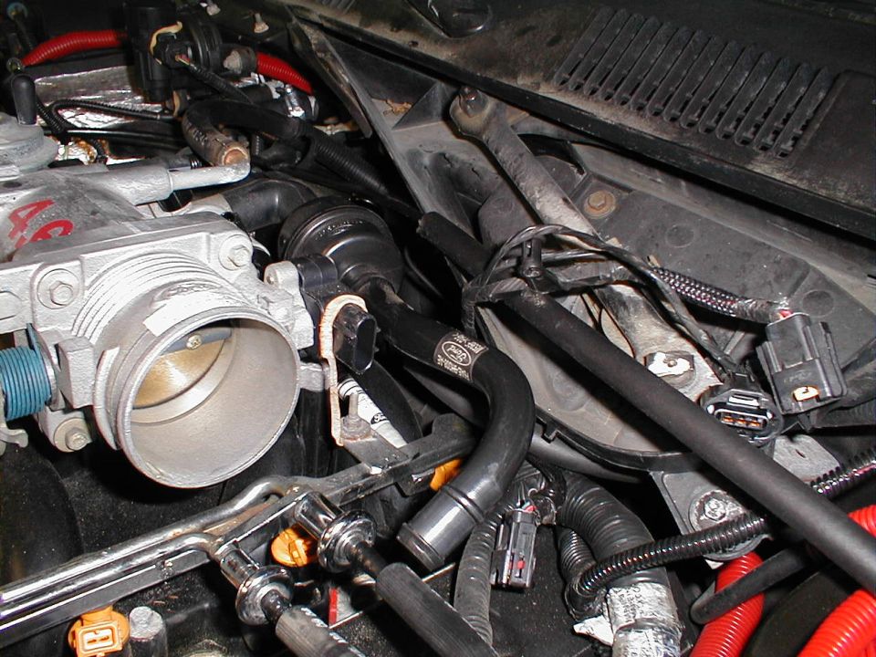 Throttle body and hoses in engine bay