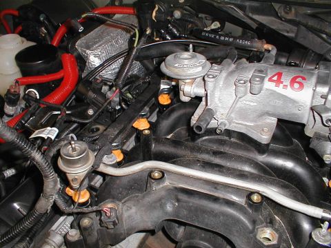 1997 Ford Crown Victoria - The engine's intake system shows fuel injectors and a manifold with a 4.6 liter designation.