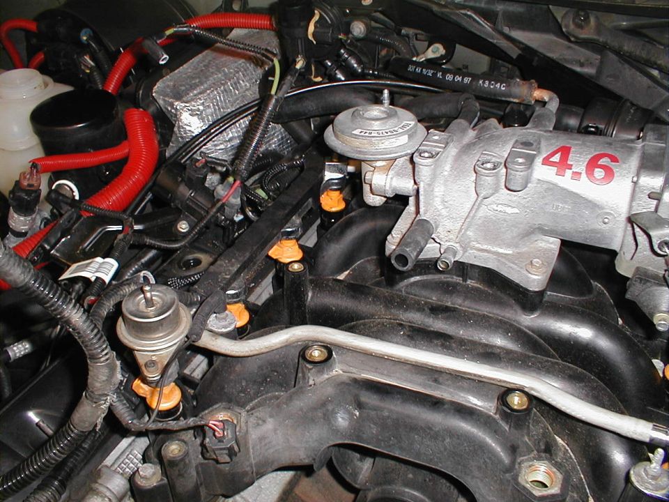 Close-up of a car engine's intake manifold with fuel injectors visible. The number 4.6 is marked on the manifold