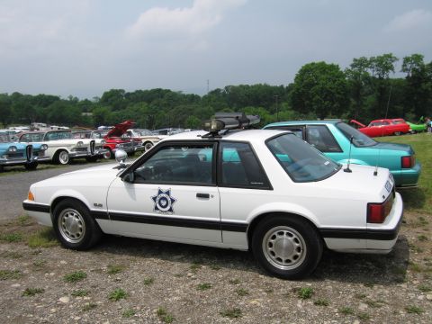 1991 Ford LTD Crown Victoria - Side profile of a white fox-body Ford Mustang police car with a star door emblem and roof light bar, parked beside classic cars at a show.