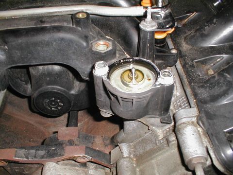 1997 Ford Crown Victoria - Close-up view of engine components, including the intake manifold and thermostat housing, with 'SUPERMOTORS' visible.