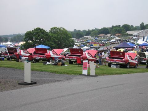 1991 Ford LTD Crown Victoria - row of red classic cars with open hoods and trunks lined up on a grass field at a large outdoor car show with tents in the background.