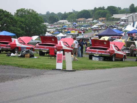 1991 Ford LTD Crown Victoria - Several red classic cars with raised hoods are parked in a row on grass at a busy outdoor car show with crowds and vendor tents.