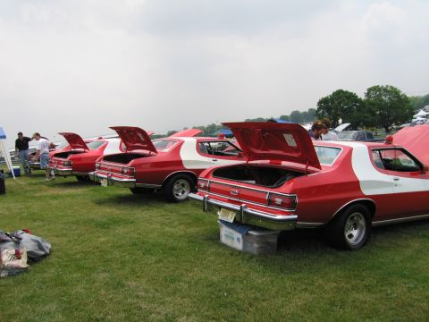 1991 Ford LTD Crown Victoria - Rear three-quarter view of several red-and-white classic muscle cars with open hoods and trunks lined up on grass at a car show.