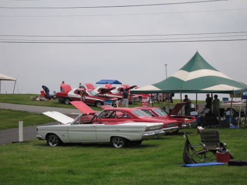 1991 Ford LTD Crown Victoria - white classic convertible and several red classic cars are displayed under green-and-white tents on a grass field at an outdoor car show.