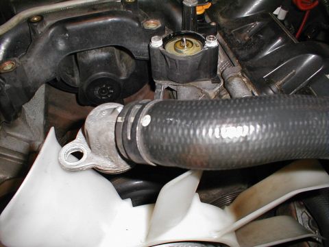 1997 Ford Crown Victoria - Engine compartment detail showing thermostat housing, hose, and fan. Supermotors.net logo is visible.