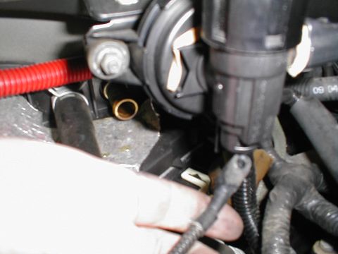 1997 Ford Crown Victoria - Detail shot of engine bay components, including hoses and wiring harnesses.