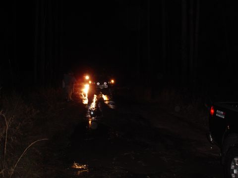 1989 Ford Bronco - Headlights illuminate a muddy path through the woods at night as vehicles navigate the terrain.