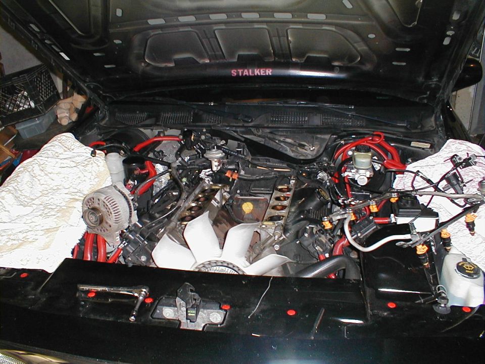 Engine bay with red hoses and a fan. "STALKER" is visible on the underside of the hood