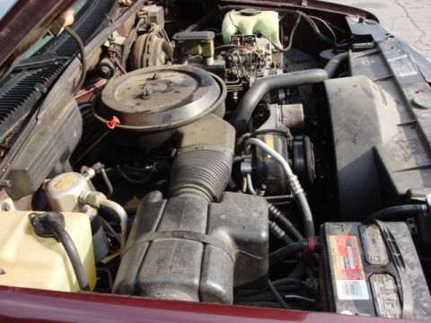 1983 Ford Bronco - another view