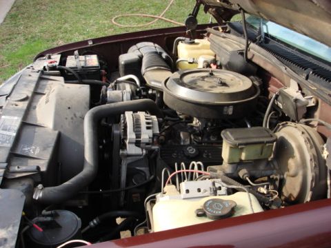1983 Ford Bronco - another view of the motor