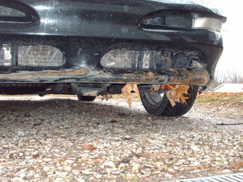 1995 Ford Probe - Front view of a muddy black car bumper and wheel, with fallen leaves visible.