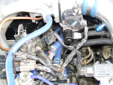 1997 Ford Probe - A complex arrangement of hoses, wires, and engine parts is visible in this close-up engine bay shot.