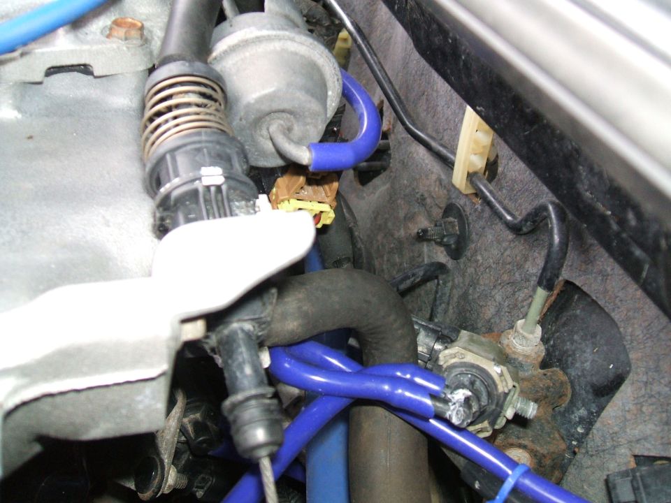 Close-up of blue silicone hoses and other engine components, with a 'Supermotors.net' watermark