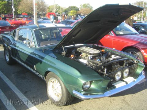1985 Ford Mustang - A green 1967 Ford Mustang GT500 is displayed at a car show with its hood open, revealing the engine compartment.