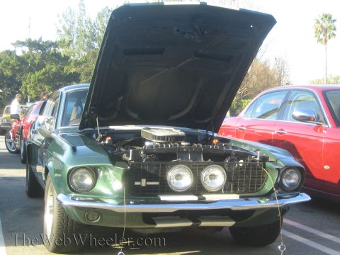 1985 Ford Mustang - Classic green car with its hood open, parked next to a red sedan at an outdoor car show.