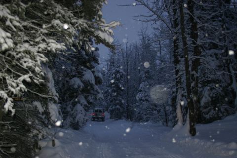 2003 Jeep TJ - A lone SUV travels down a snow-covered road surrounded by trees as snow falls.