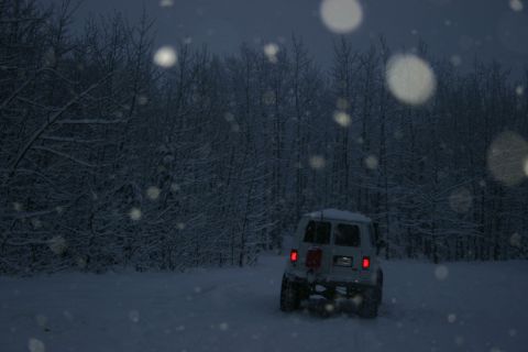 2003 Jeep TJ - White Jeep TJ driving through a snowy forest with falling snow.