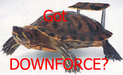 1997 Ford Crown Victoria - A turtle is pictured with a small spoiler attached to its shell, with text asking about downforce.