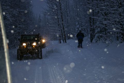 2003 Jeep TJ - A convoy of Jeeps navigates a snow-covered forest road as snow falls.