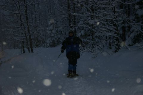 2003 Jeep TJ - A person walks through a snow-covered forest, holding a pole and wearing snowshoes.