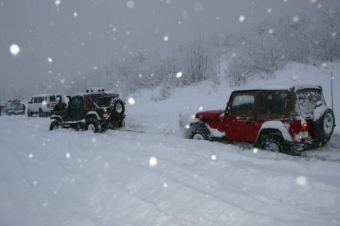 2003 Jeep TJ - Several vehicles are stuck in a snowy landscape during a blizzard, with trees covered in snow in the background.
