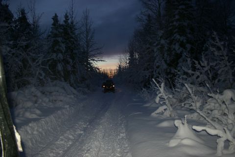 2003 Jeep TJ - Jeep driving on a snowy forest road during twilight.