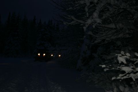 2003 Jeep TJ - A 2003 Jeep Wrangler navigates a snowy path through a dark forest, its headlights cutting through the night.