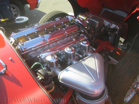 1985 Ford Mustang - The engine bay features polished chrome valve covers and triple carburetors, with a prominent air filter housing.