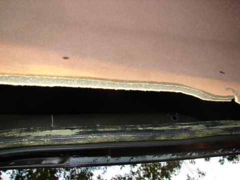1996 Ford Bronco - Interior trim panel removed, showing foam and backing. The album claims 1996 Ford Bronco.