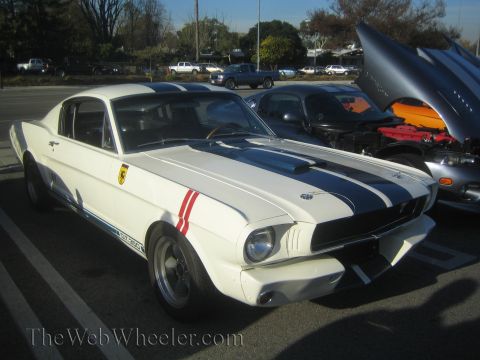 1985 Ford Mustang - A white 1965 Shelby GT350 Mustang with blue racing stripes and red accent stripes is parked at a car show.