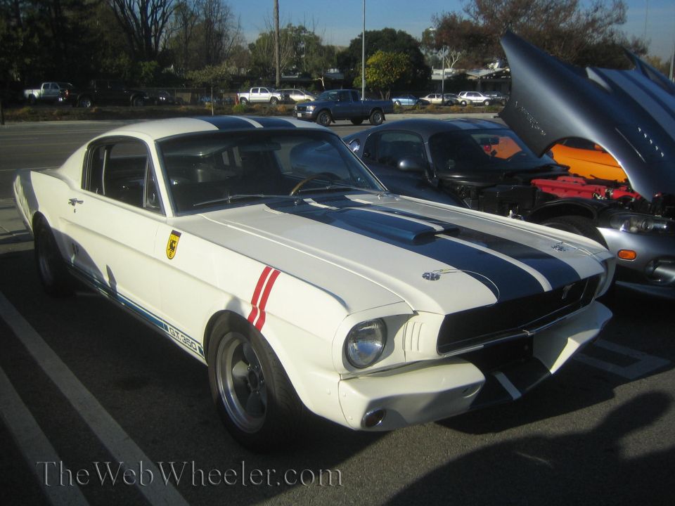 White 1965 Shelby GT350 Mustang with blue stripes and red accent stripes