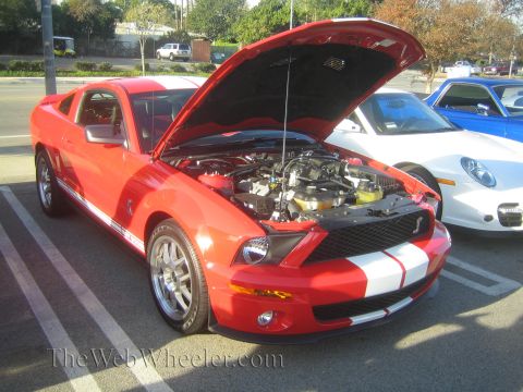 1985 Ford Mustang - A red Ford Mustang Shelby GT500 is displayed with its hood open at a car show.