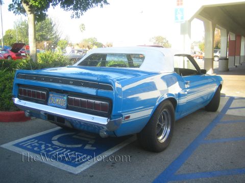 1985 Ford Mustang - A blue 1969 Shelby Mustang convertible is parked in a handicapped spot, showing its rear end and white top.