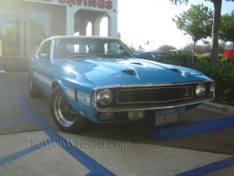 1985 Ford Mustang - A classic blue Shelby GT350 convertible is parked in a lot, showing off its distinctive hood scoops and racing stripes.