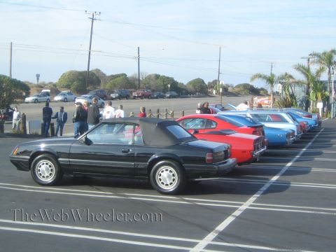 1985 Ford Mustang - A black 1985 Ford Mustang GT convertible is parked at a car show alongside other vehicles.