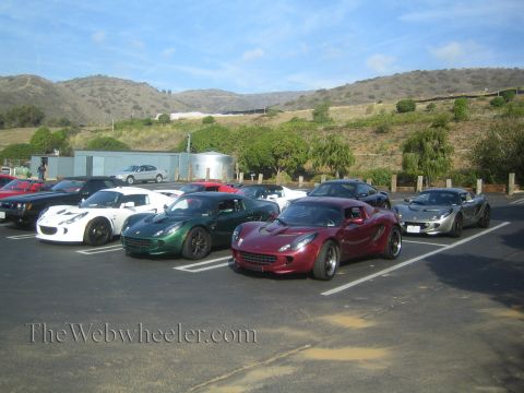 1985 Ford Mustang - A collection of Lotus Elise sports cars are parked in a lot on a sunny day.