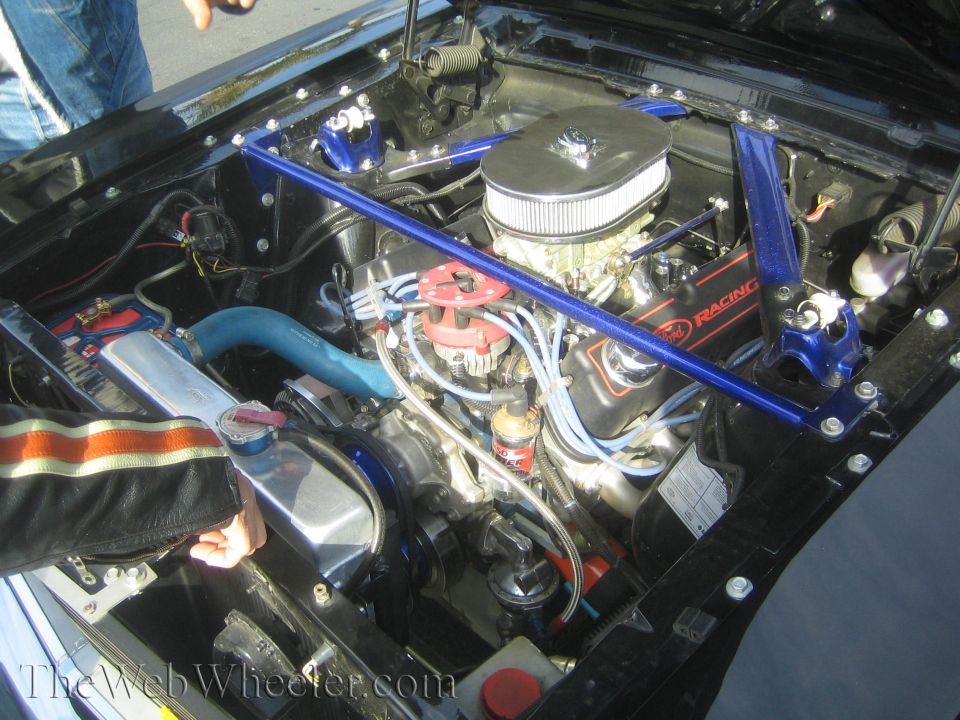 Engine bay with Ford Racing valve covers and blue strut bar