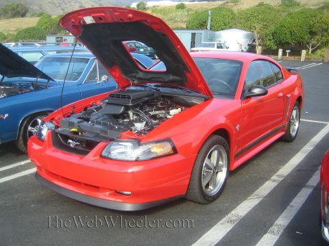 1985 Ford Mustang - Red 2000 Ford Mustang Cobra at a car show, hood raised to display the engine.