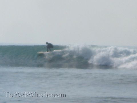 1985 Ford Mustang - A surfer catches a wave on a hazy day.