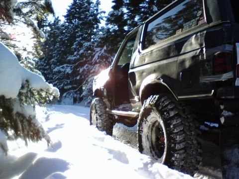 1987 Ford Bronco - A 1987 Ford Bronco navigates a snow-covered trail surrounded by snow-laden pine trees.